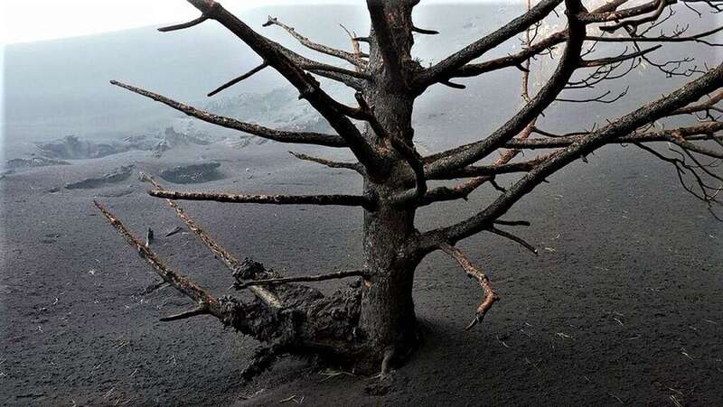 Erupción volcánica de La Palma/Archivo.